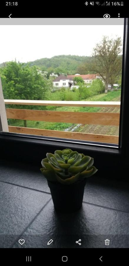 Eco Familia Hotel Pojoga Екстериор снимка