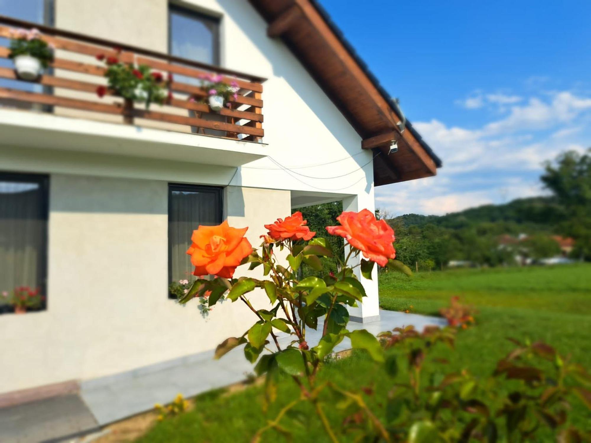 Eco Familia Hotel Pojoga Екстериор снимка